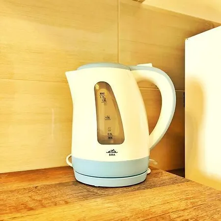 Spacious Flat *